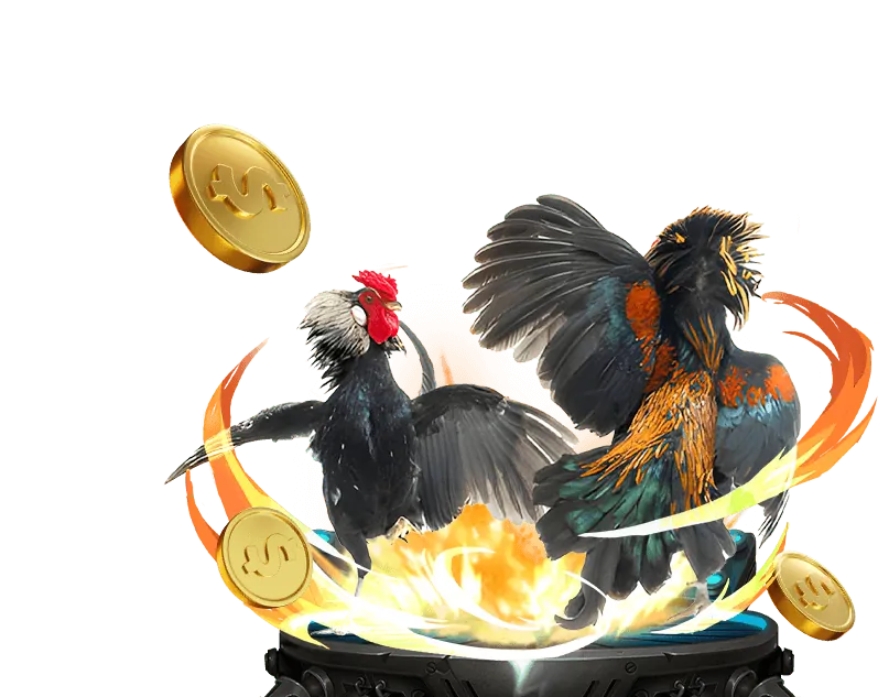 Hình ảnh mô tả quy tắc cá cược đá gà trực tuyến trên nền tảng đa ga tho mo